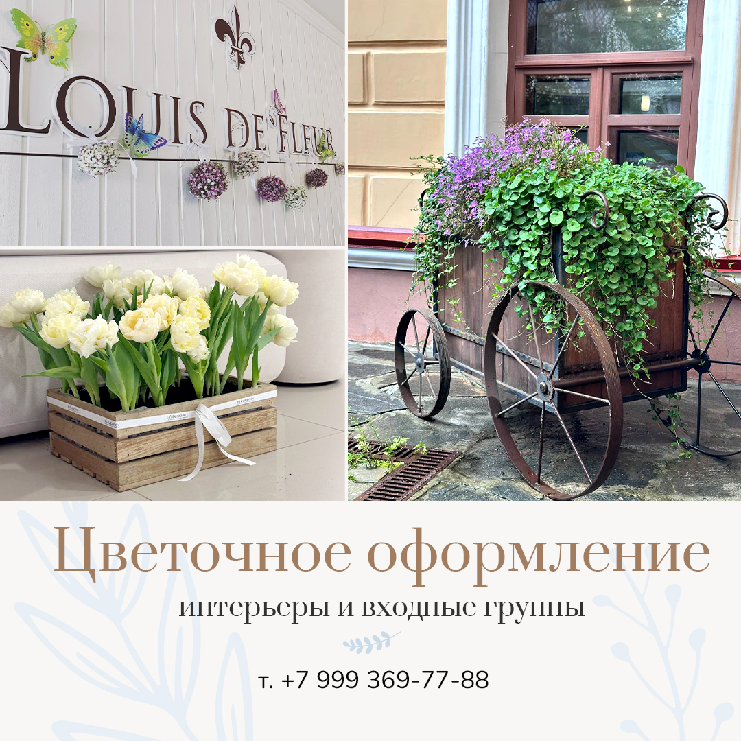 Оформление